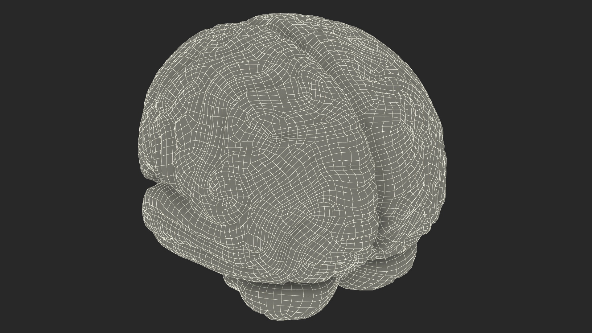 3D Human Brain Plastic Model for 3D Print model