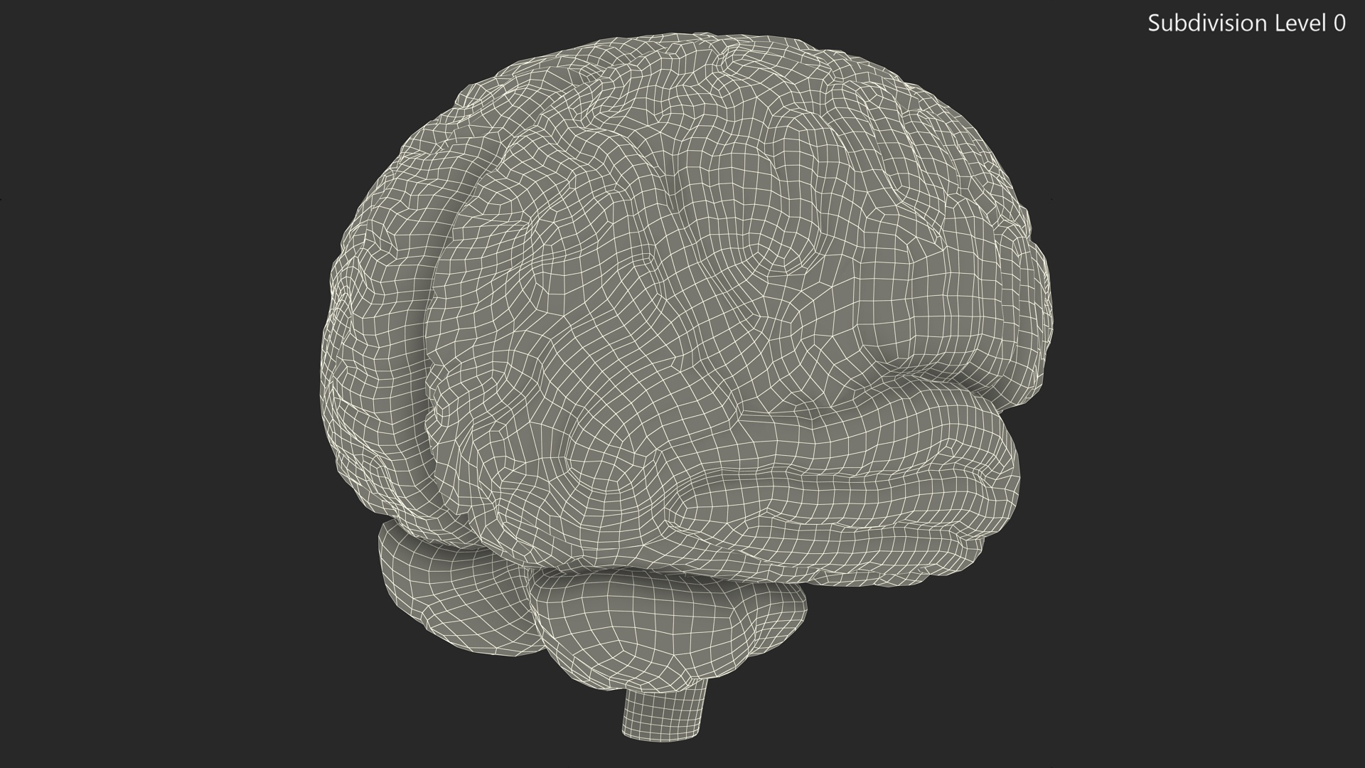 3D Human Brain Plastic Model for 3D Print model