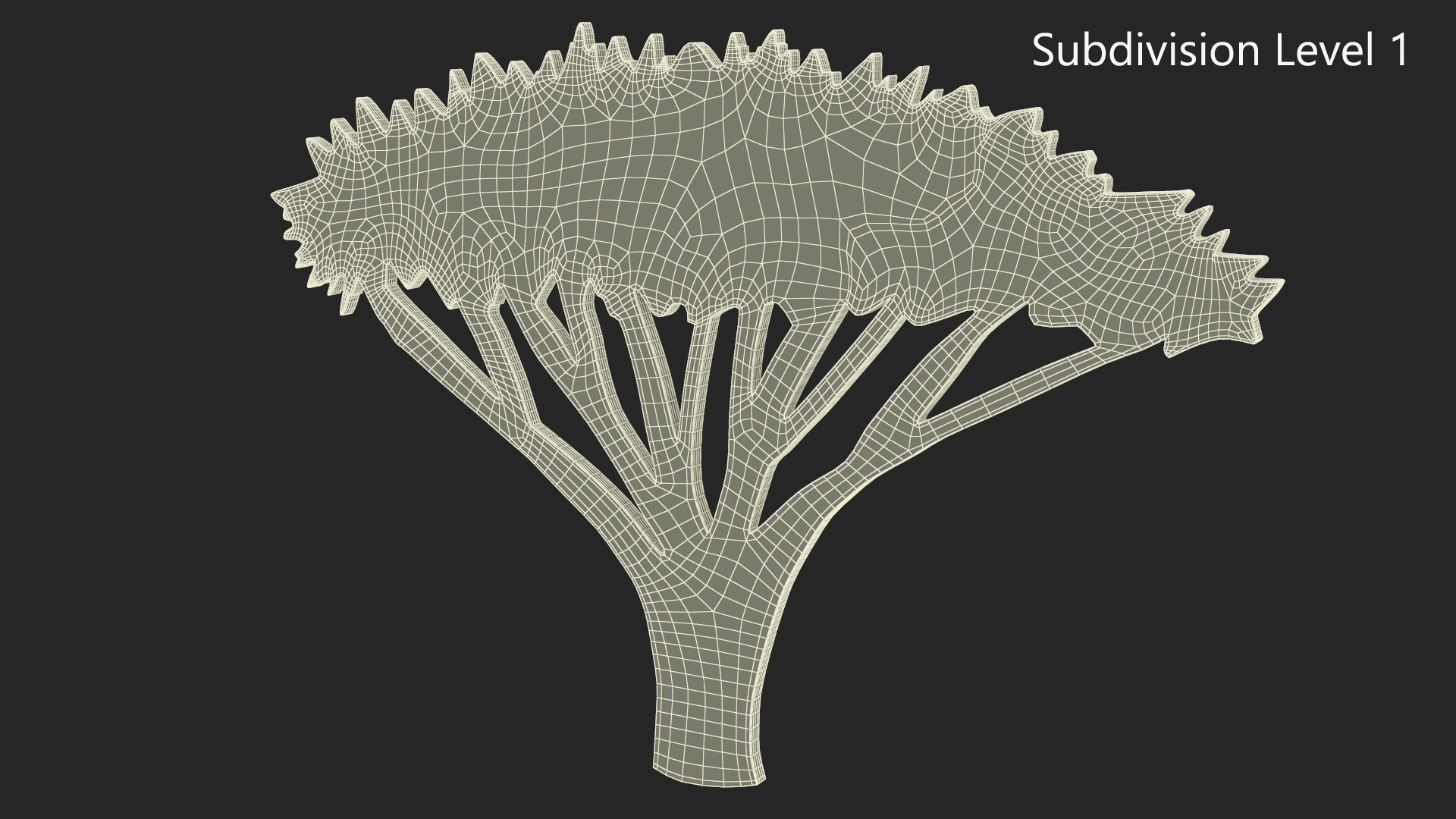 Acacia Tree Silhouette 3D