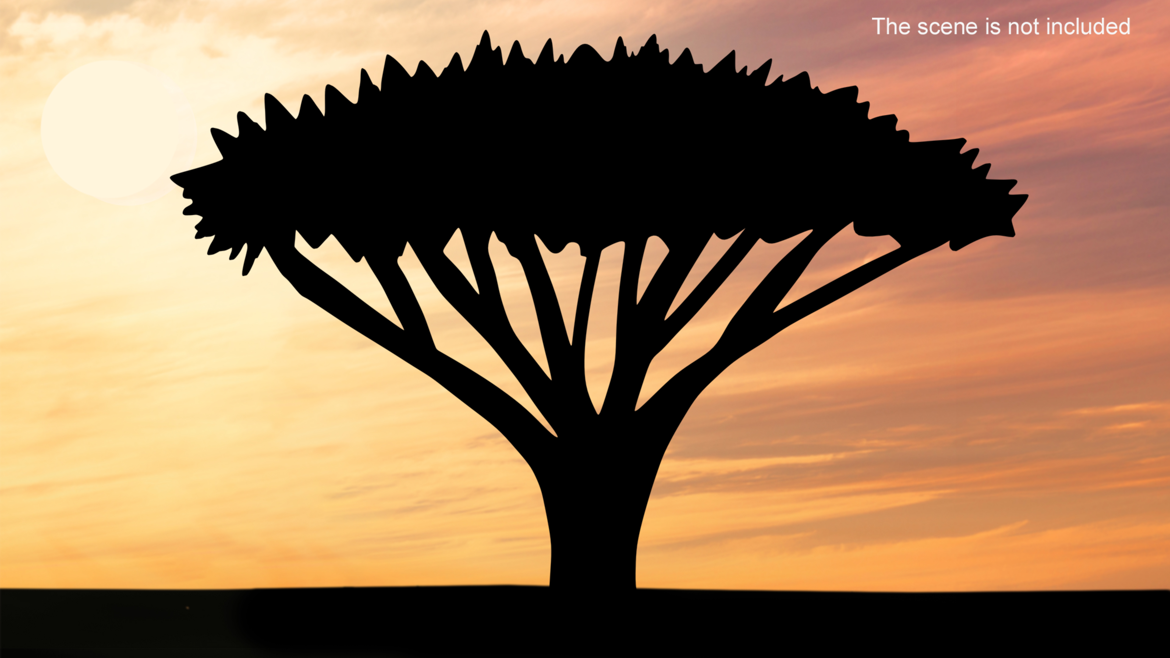 Acacia Tree Silhouette 3D