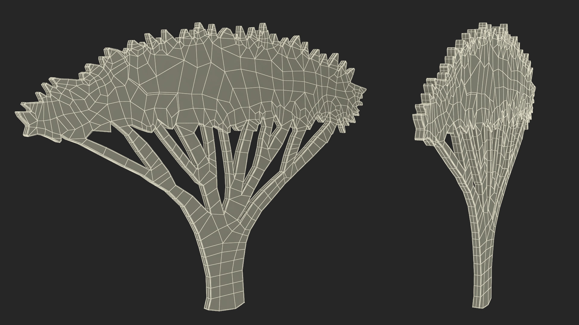 Acacia Tree Silhouette 3D