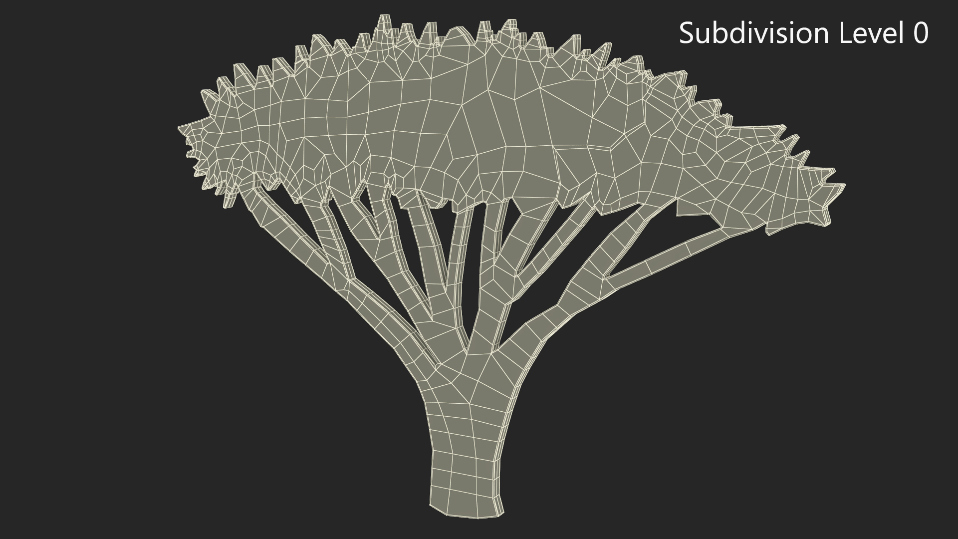 Acacia Tree Silhouette 3D