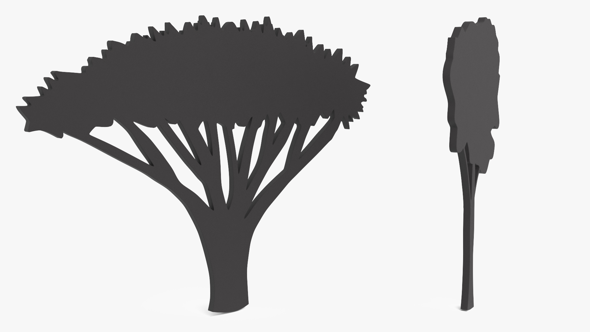 Acacia Tree Silhouette 3D