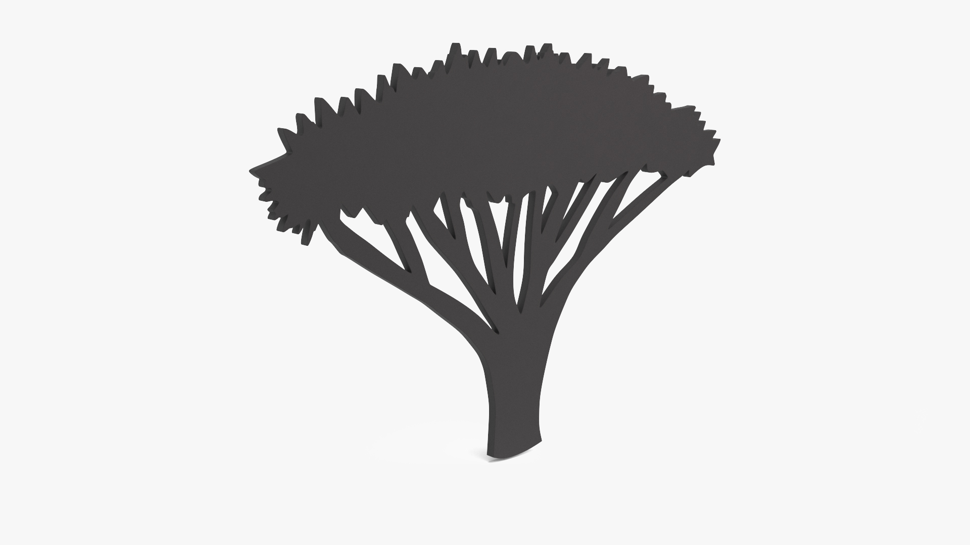 Acacia Tree Silhouette 3D