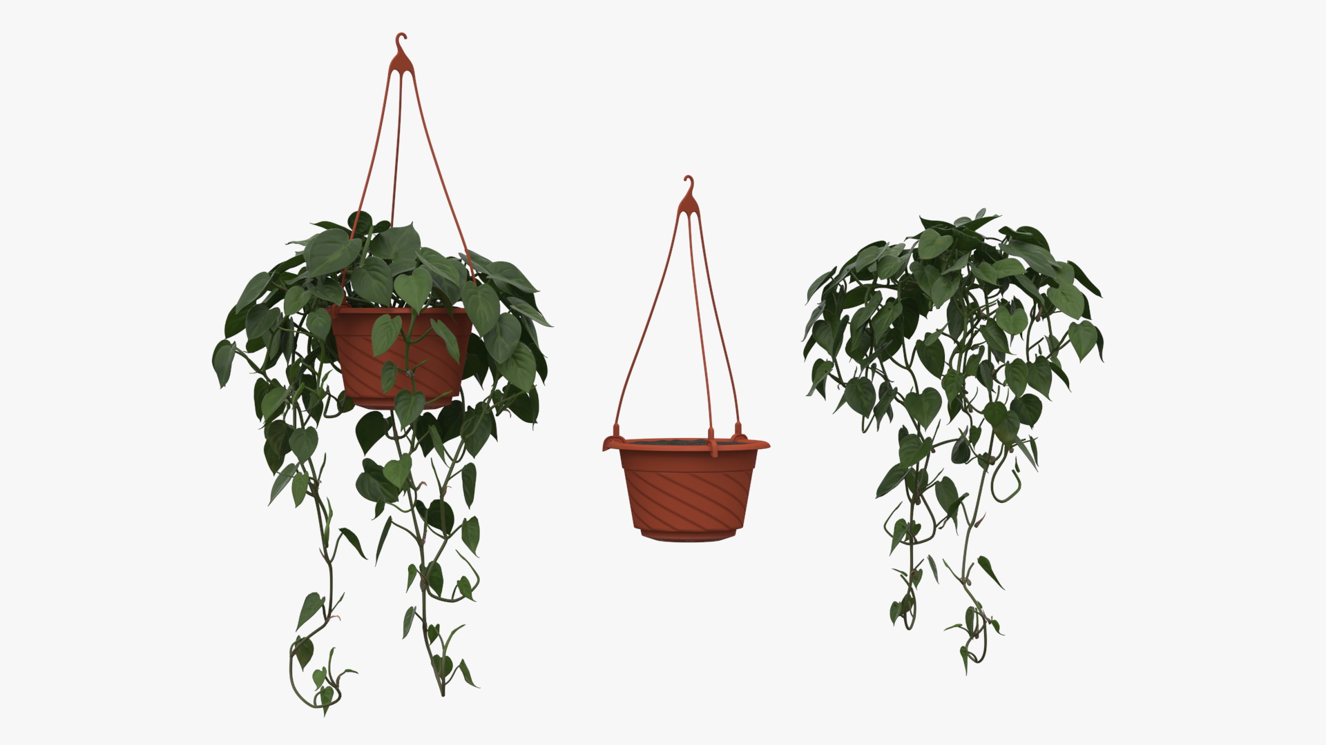 3D Garden Arch Trellis with Climbing Plants in Hanging Pots