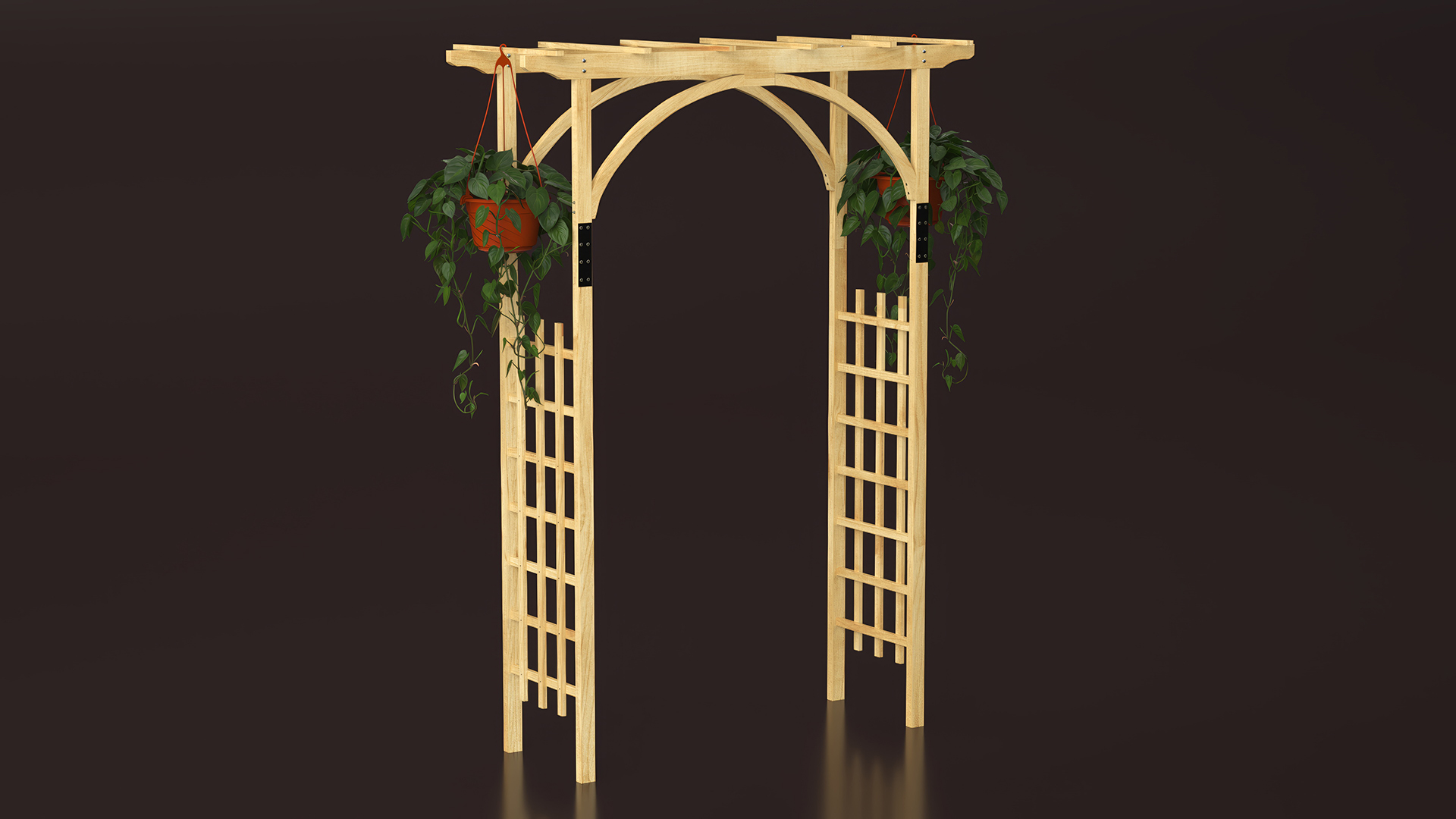 3D Garden Arch Trellis with Climbing Plants in Hanging Pots