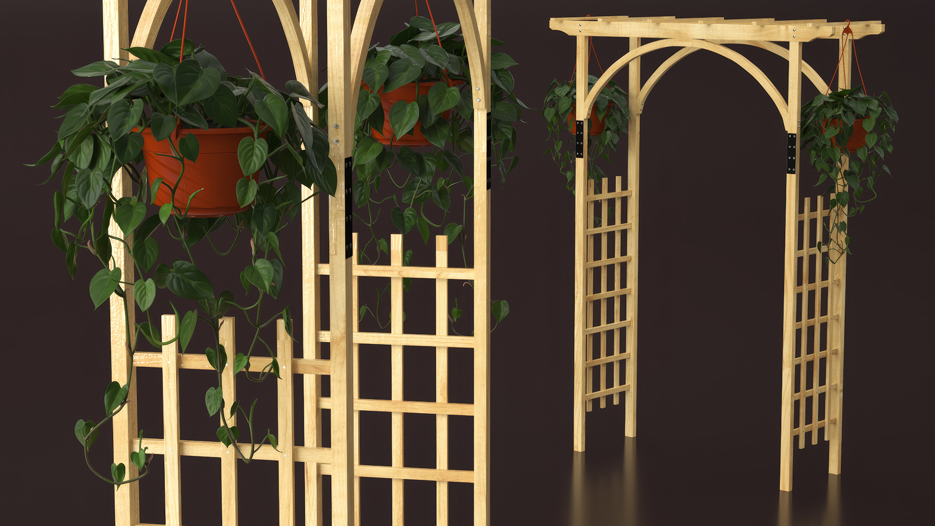 3D Garden Arch Trellis with Climbing Plants in Hanging Pots