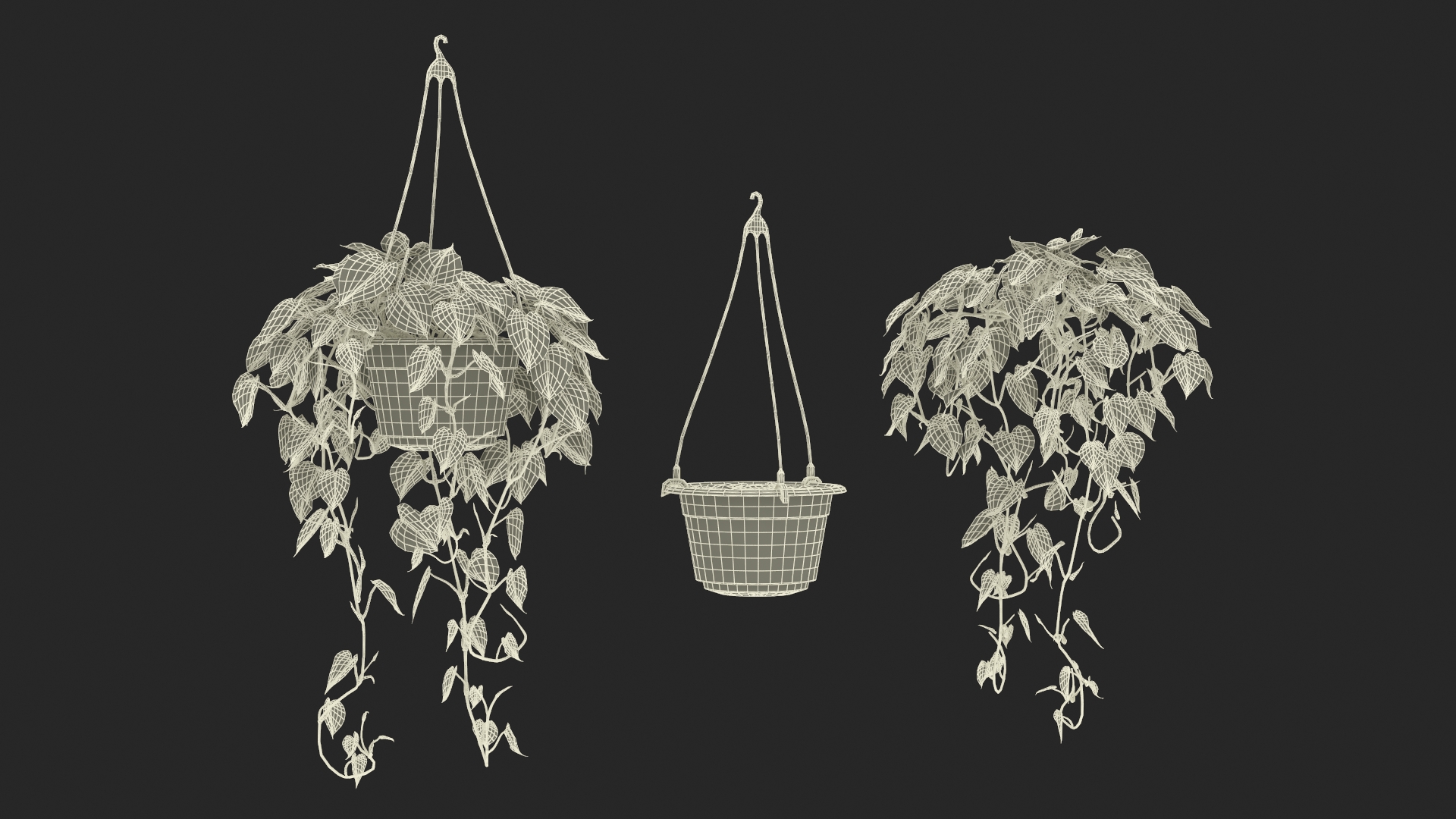 3D Garden Arch Trellis with Climbing Plants in Hanging Pots