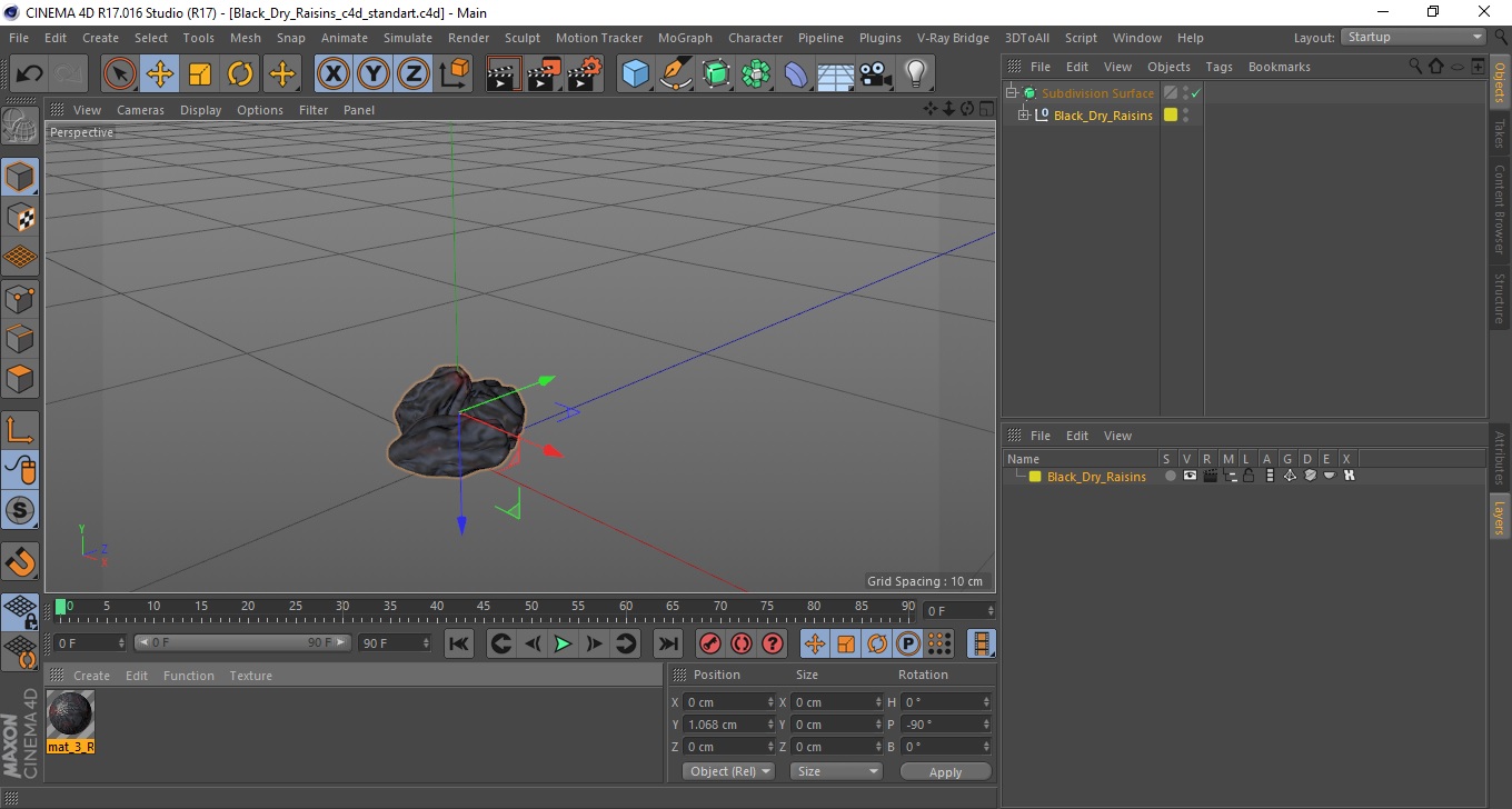 Black Dry Raisins 3D