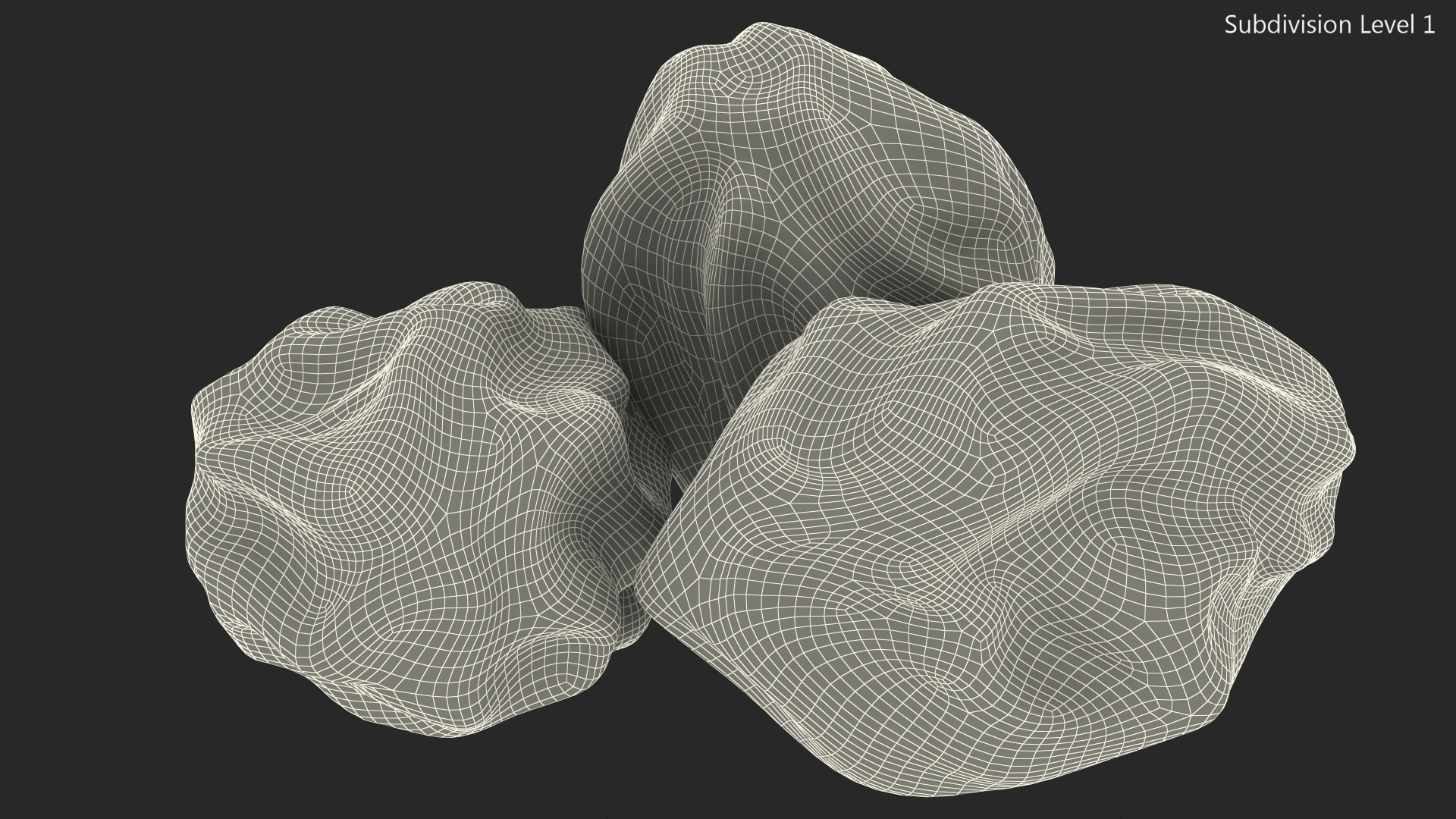 Black Dry Raisins 3D