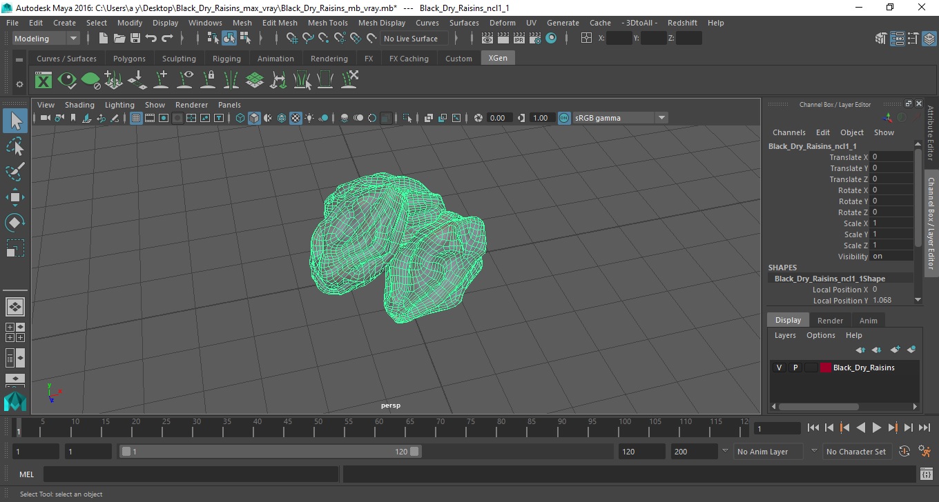 Black Dry Raisins 3D