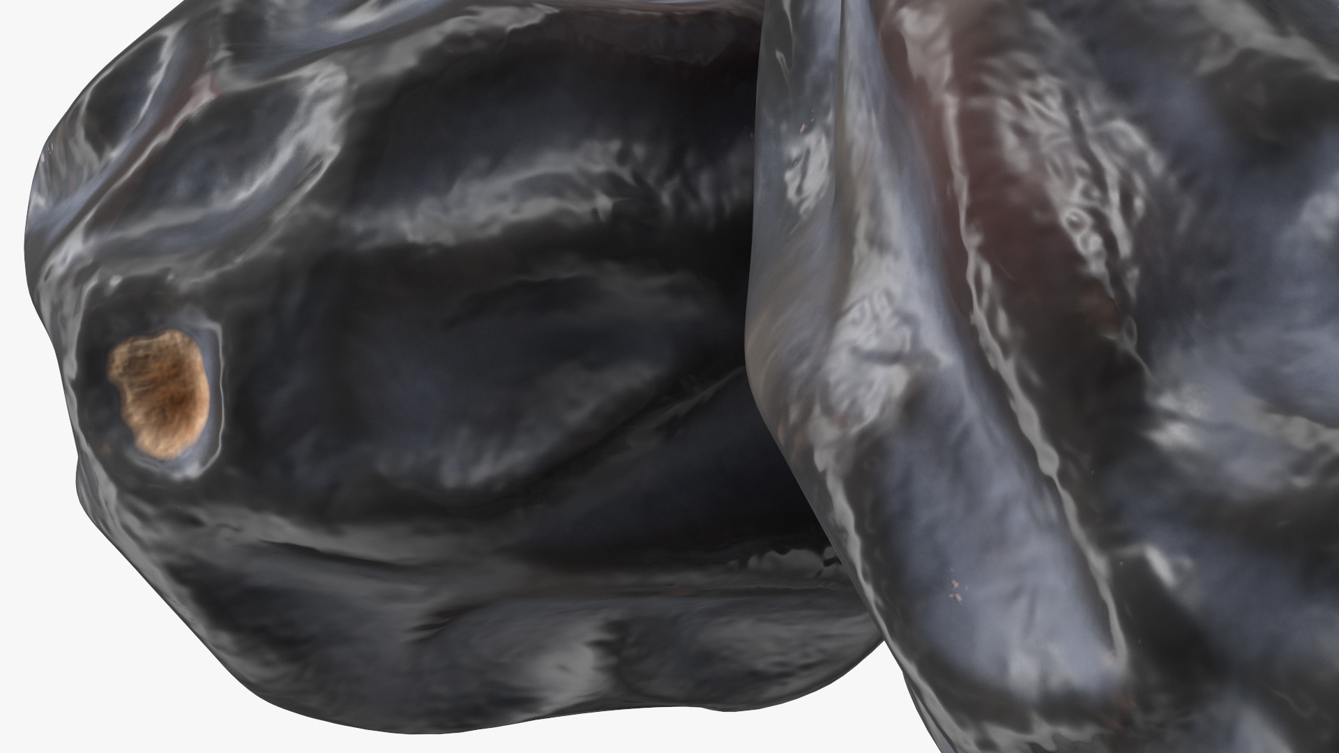 Black Dry Raisins 3D