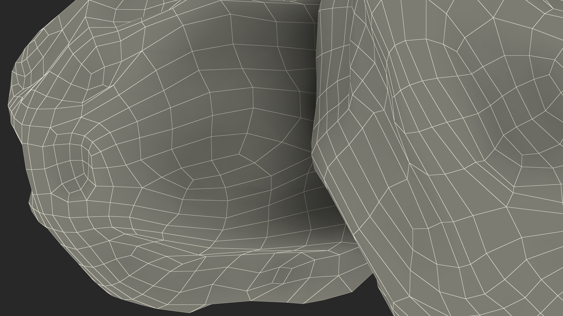 Black Dry Raisins 3D