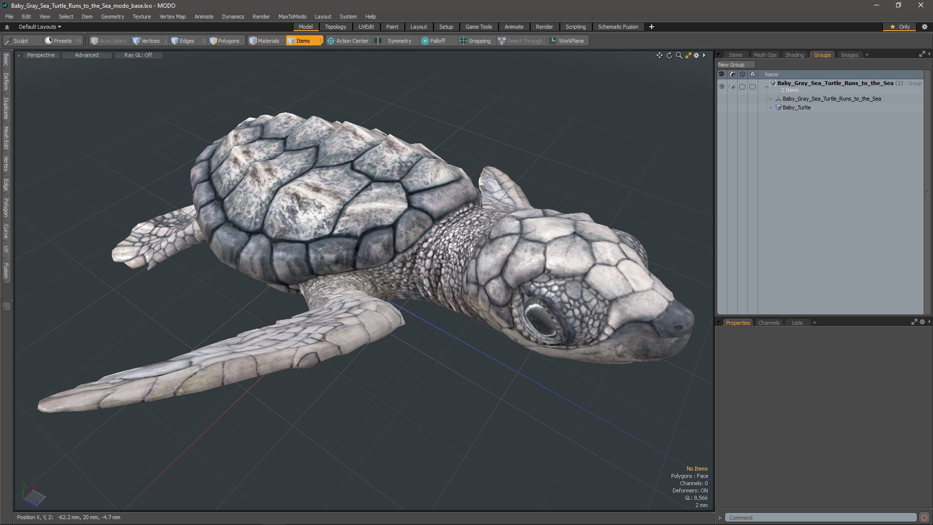 3D Baby Gray Sea Turtle Runs to the Sea