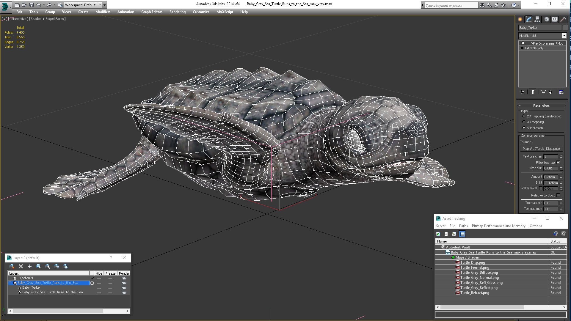 3D Baby Gray Sea Turtle Runs to the Sea
