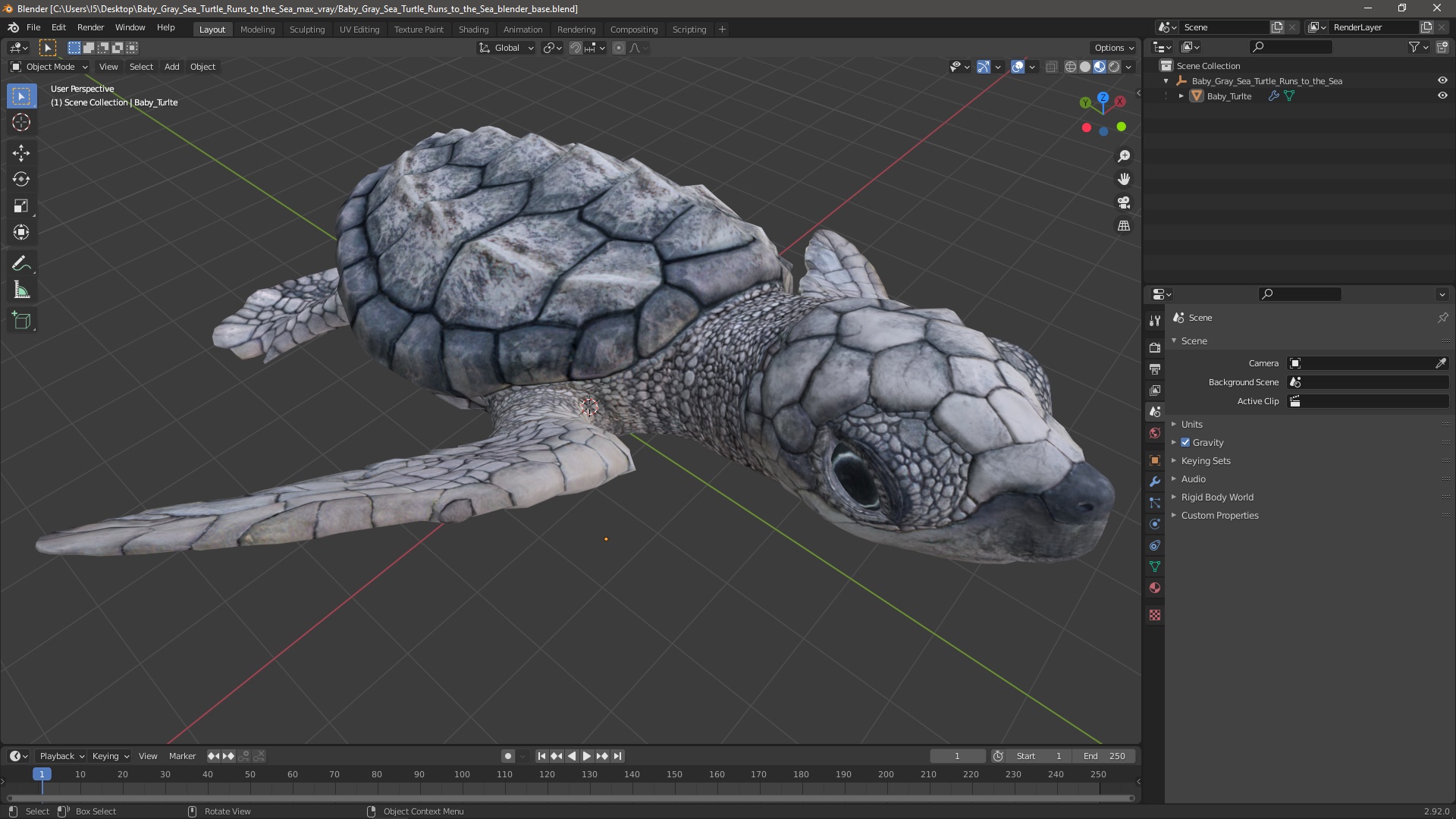 3D Baby Gray Sea Turtle Runs to the Sea