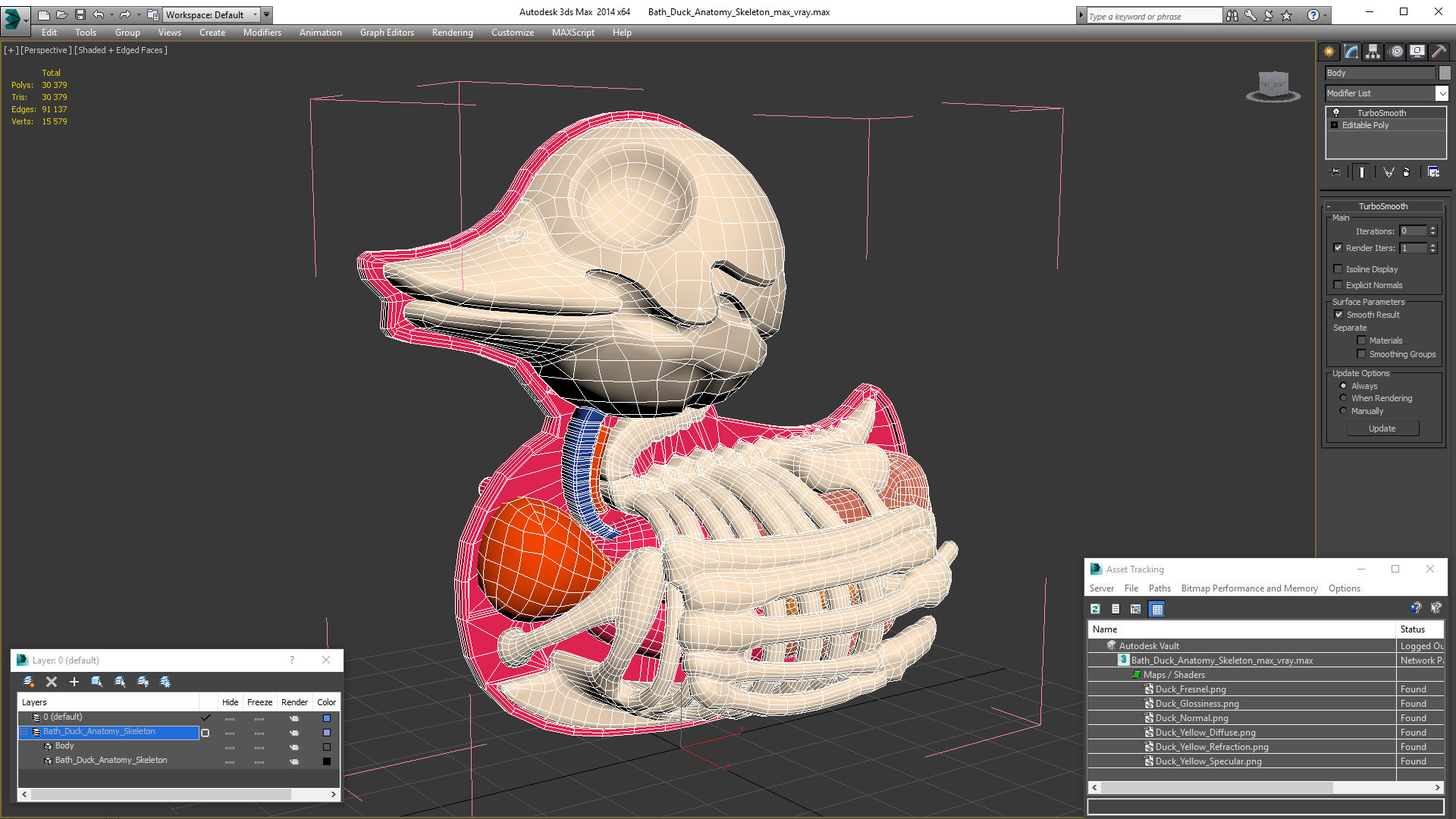 3D Bath Duck Anatomy Skeleton