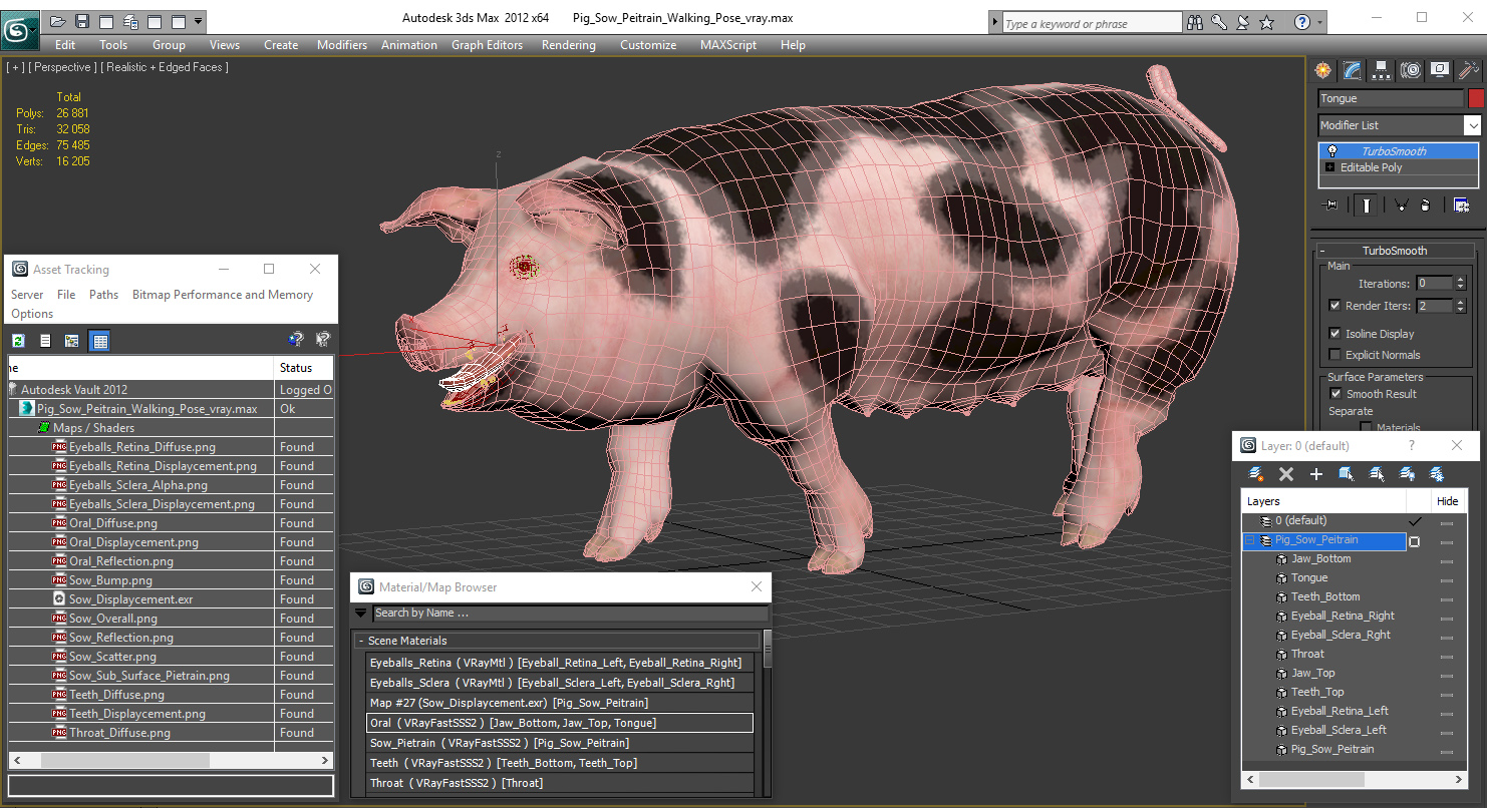 Pig Sow Peitrain Walking Pose 3D model
