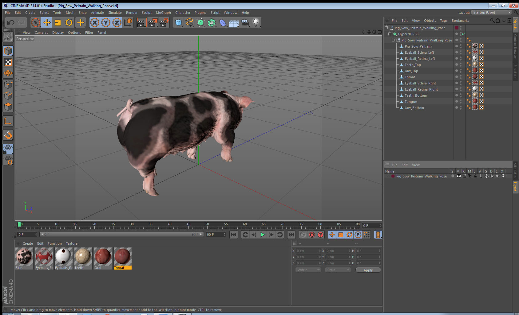 Pig Sow Peitrain Walking Pose 3D model