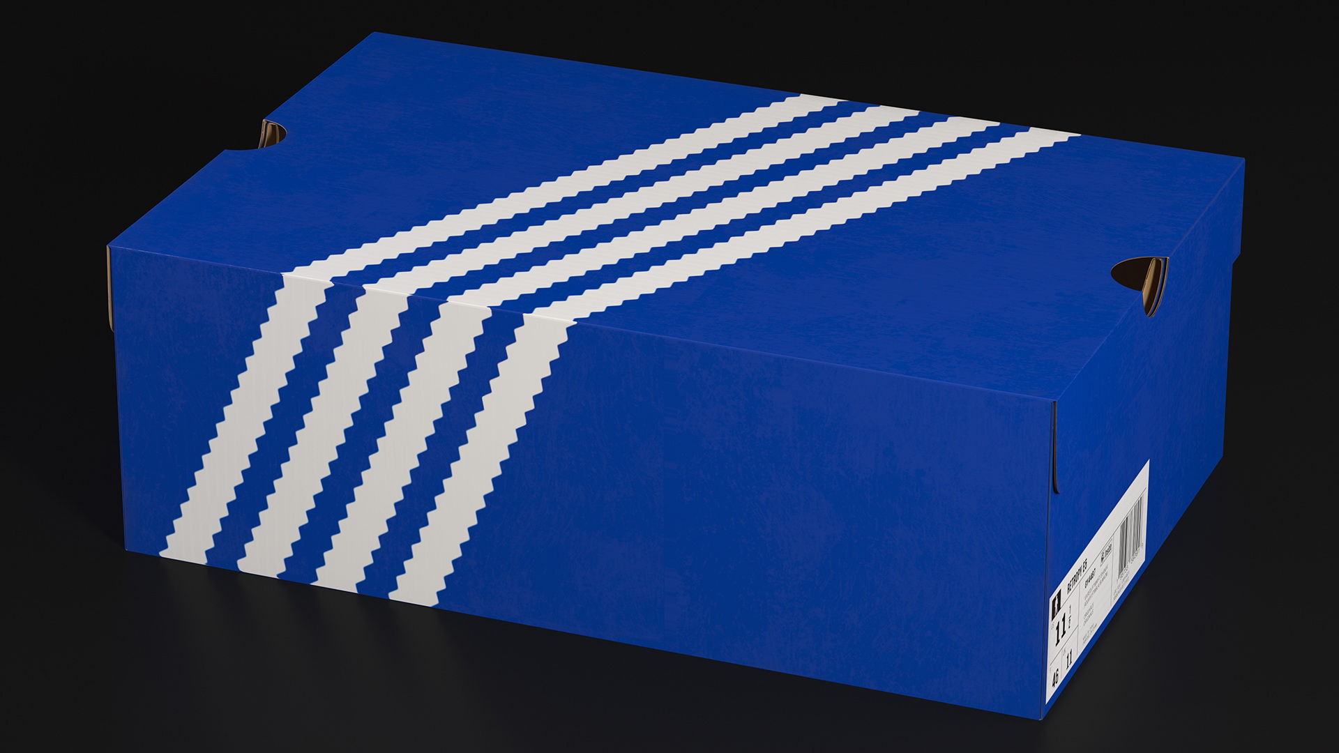 Carton Box for Shoes Closed 3D
