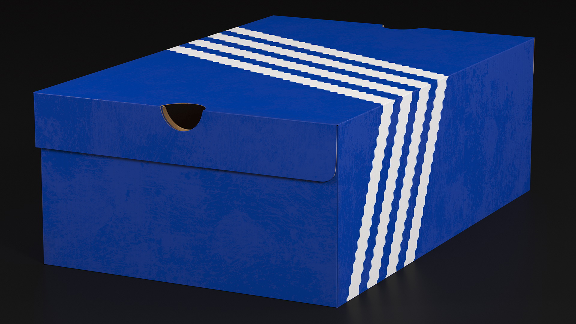 Carton Box for Shoes Closed 3D