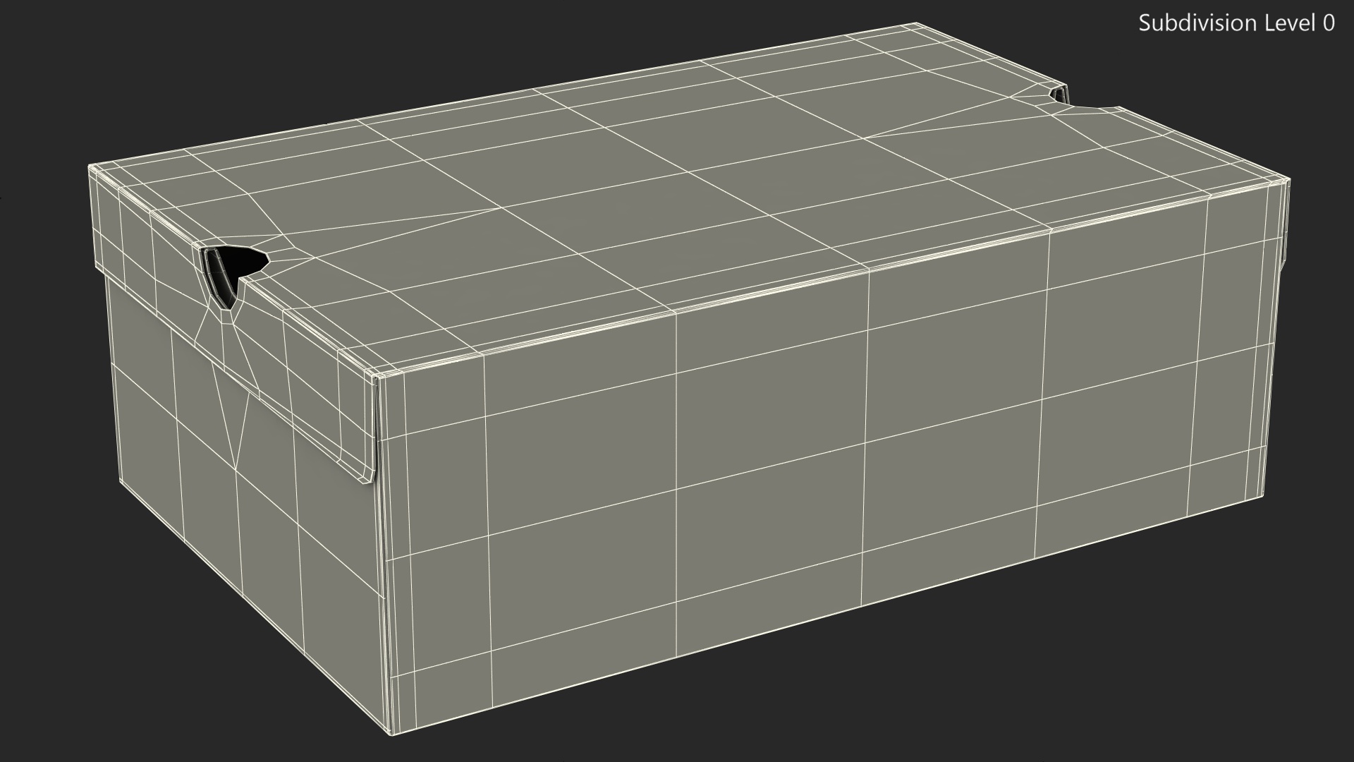 Carton Box for Shoes Closed 3D