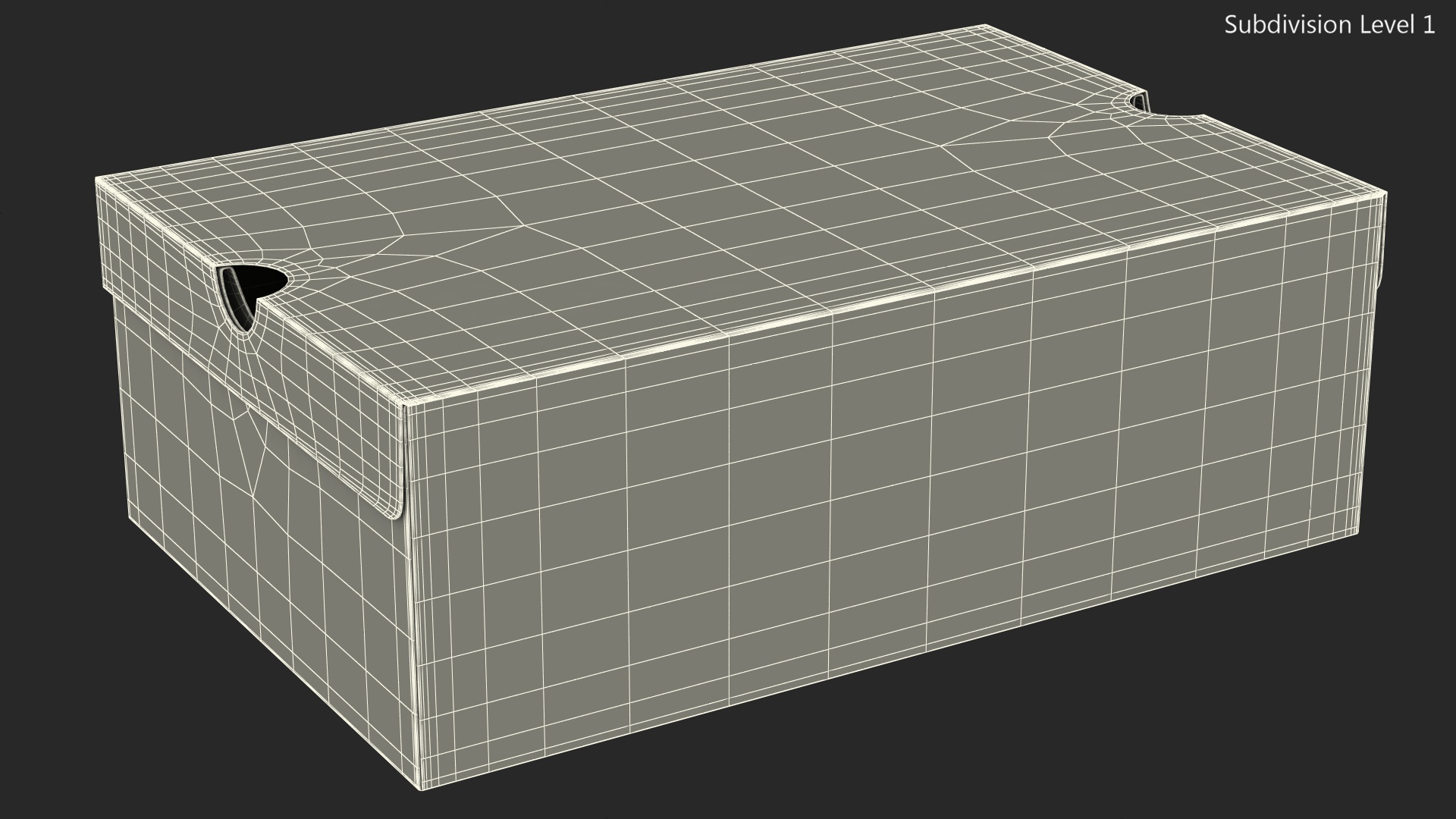 Carton Box for Shoes Closed 3D