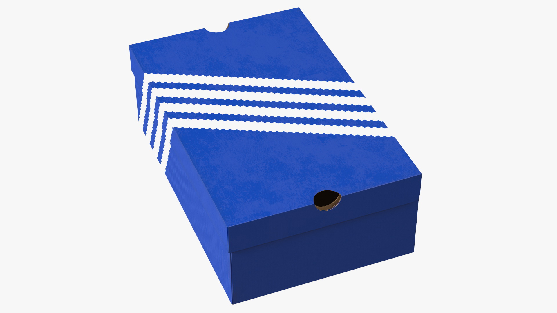 Carton Box for Shoes Closed 3D