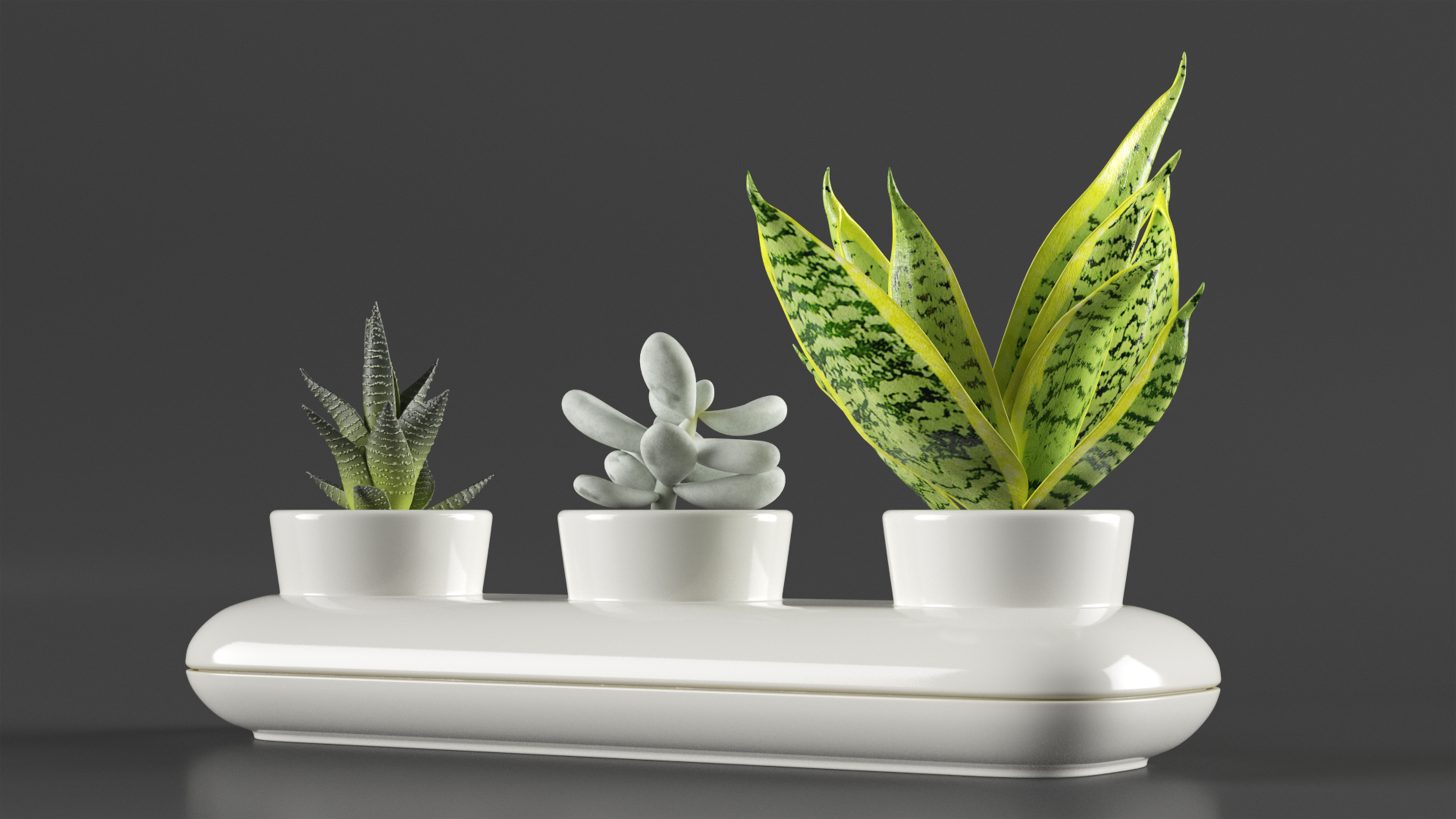3D Stoneware Trio Pot Sagaform White model