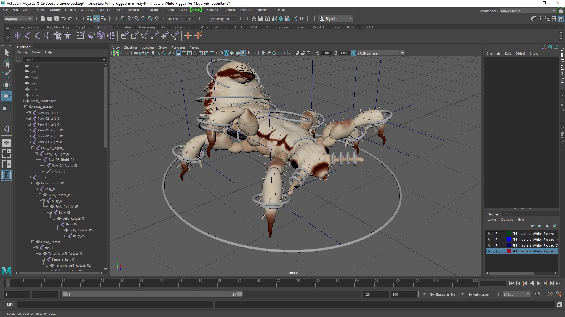 3D Phthiraptera White SSS Rigged for Maya model
