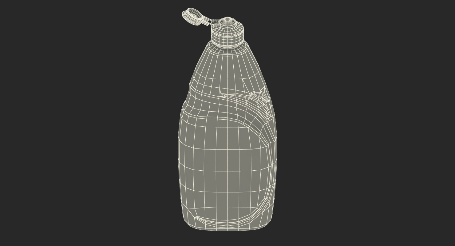 Empty Dishwashing Bottle 3D model