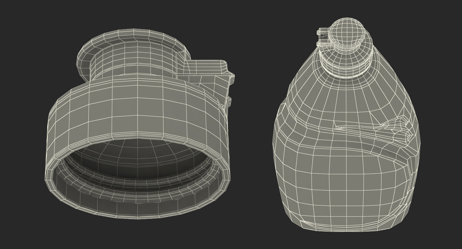 Empty Dishwashing Bottle 3D model