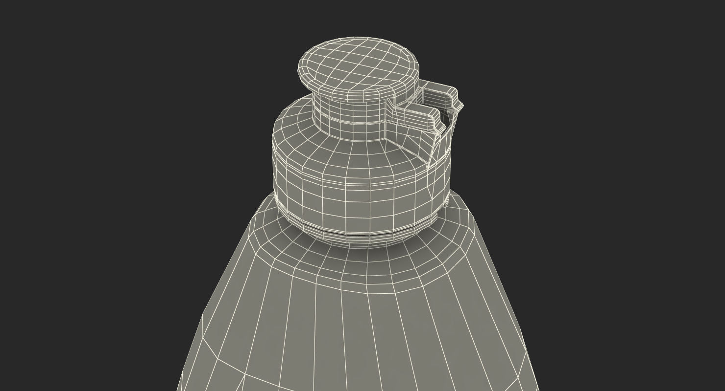 Empty Dishwashing Bottle 3D model