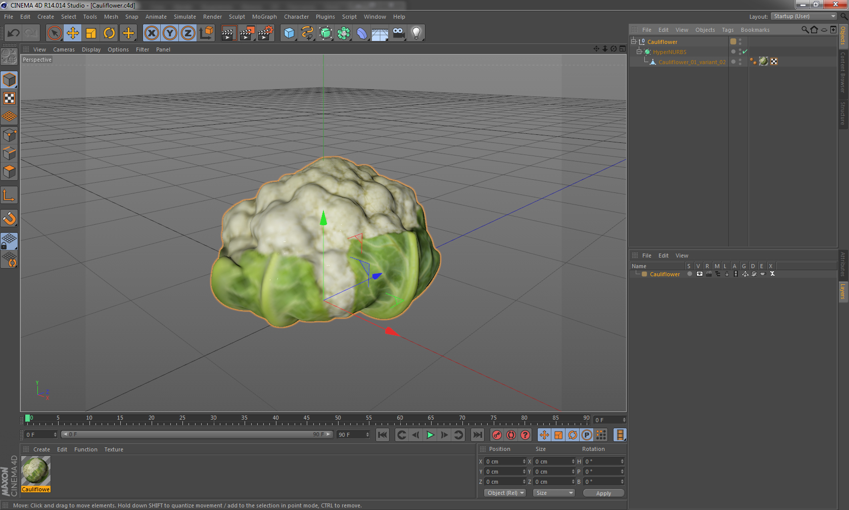 3D Cauliflower