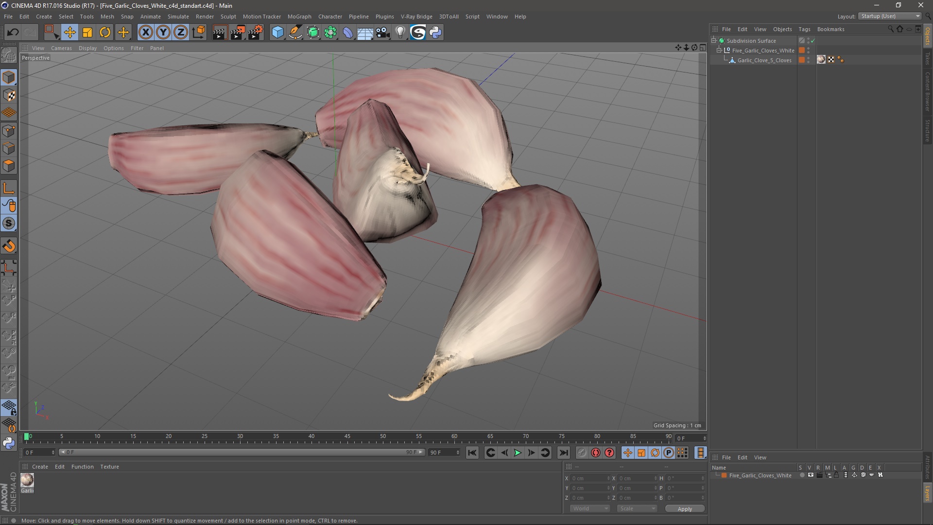 Five Garlic Cloves White 3D model