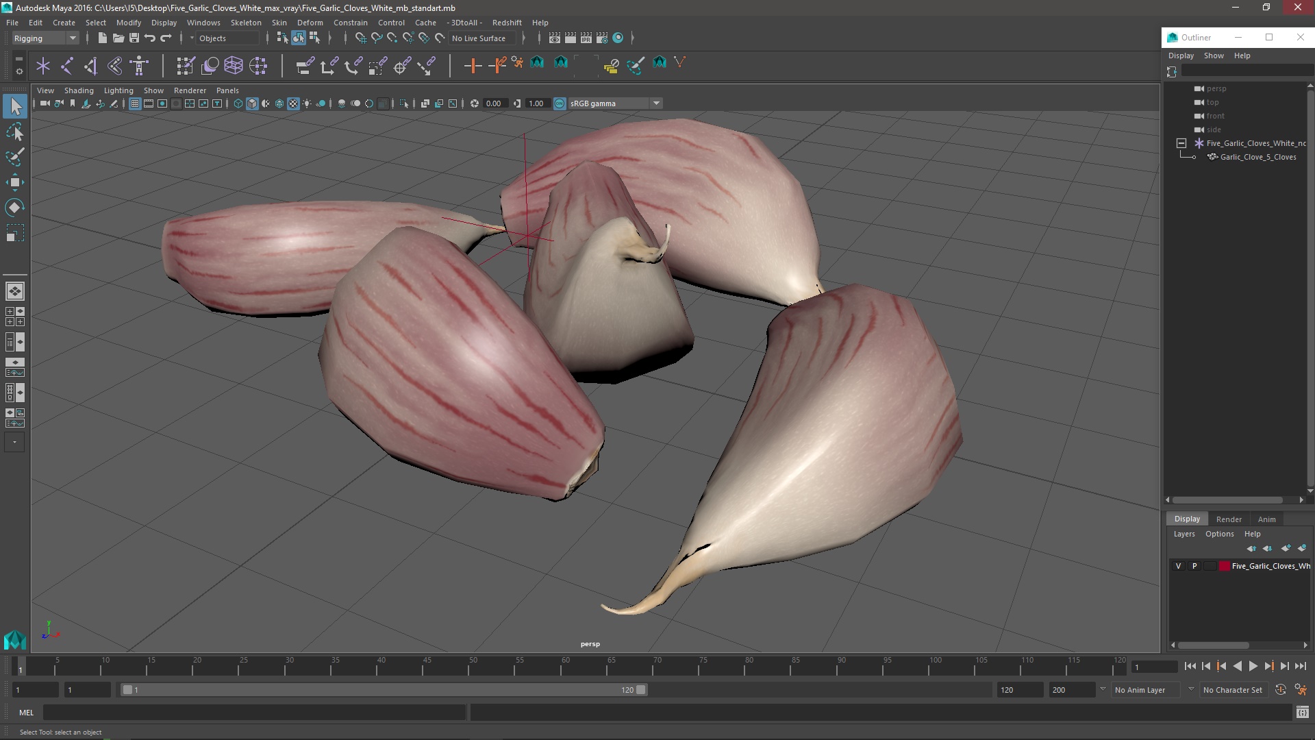 Five Garlic Cloves White 3D model