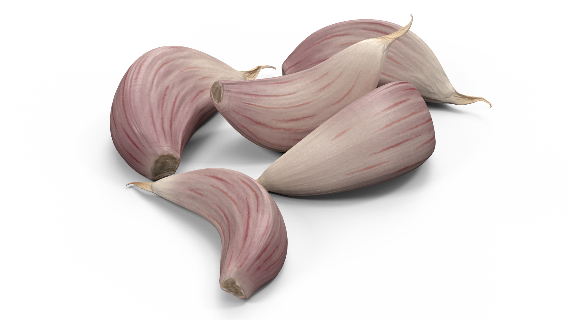 Five Garlic Cloves White 3D model