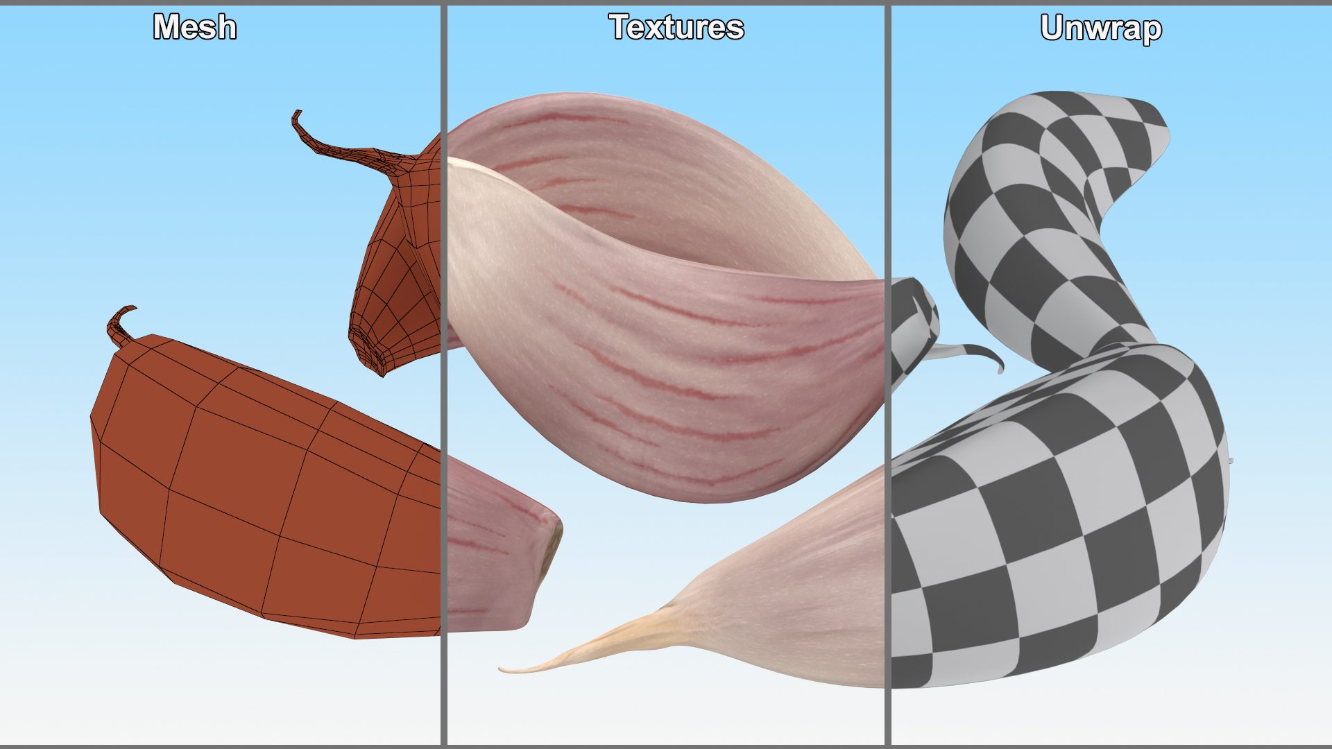 Five Garlic Cloves White 3D model