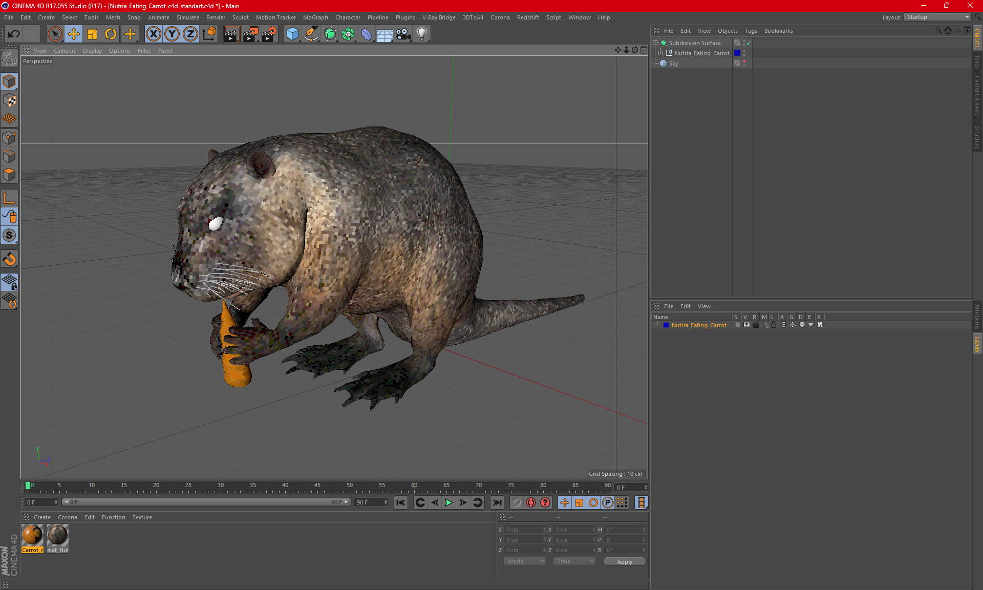 3D model Nutria Eating Carrot
