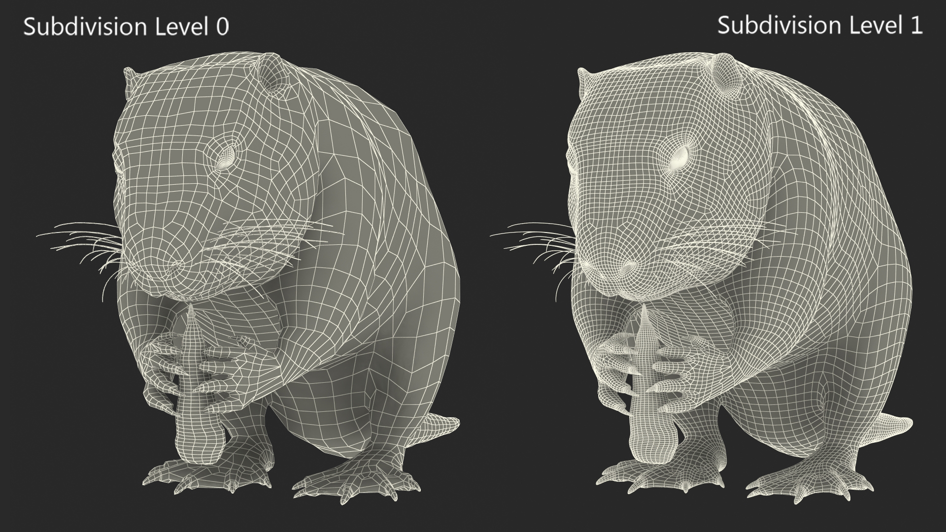 3D model Nutria Eating Carrot