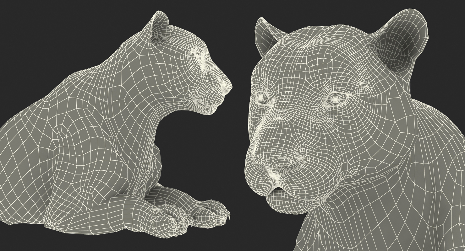 3D Lying White Tiger with Fur