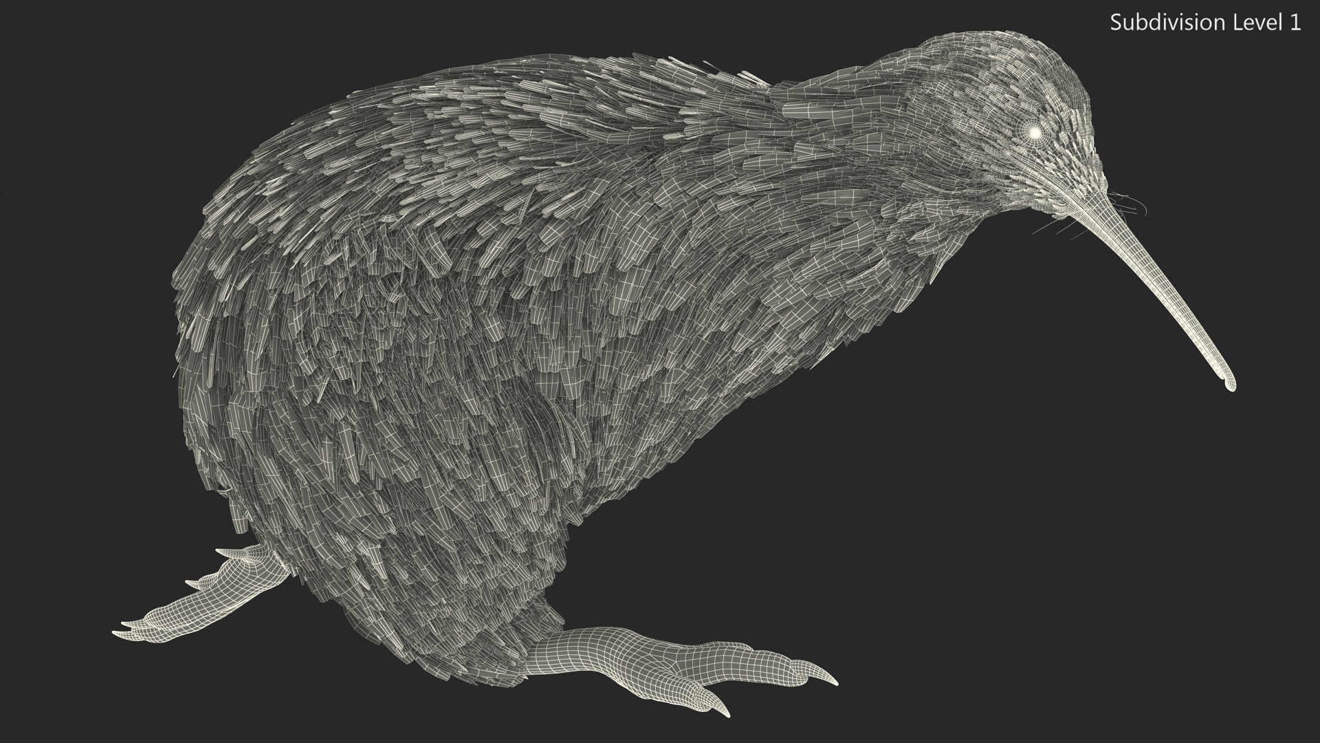 3D Run Pose Kiwi Bird model