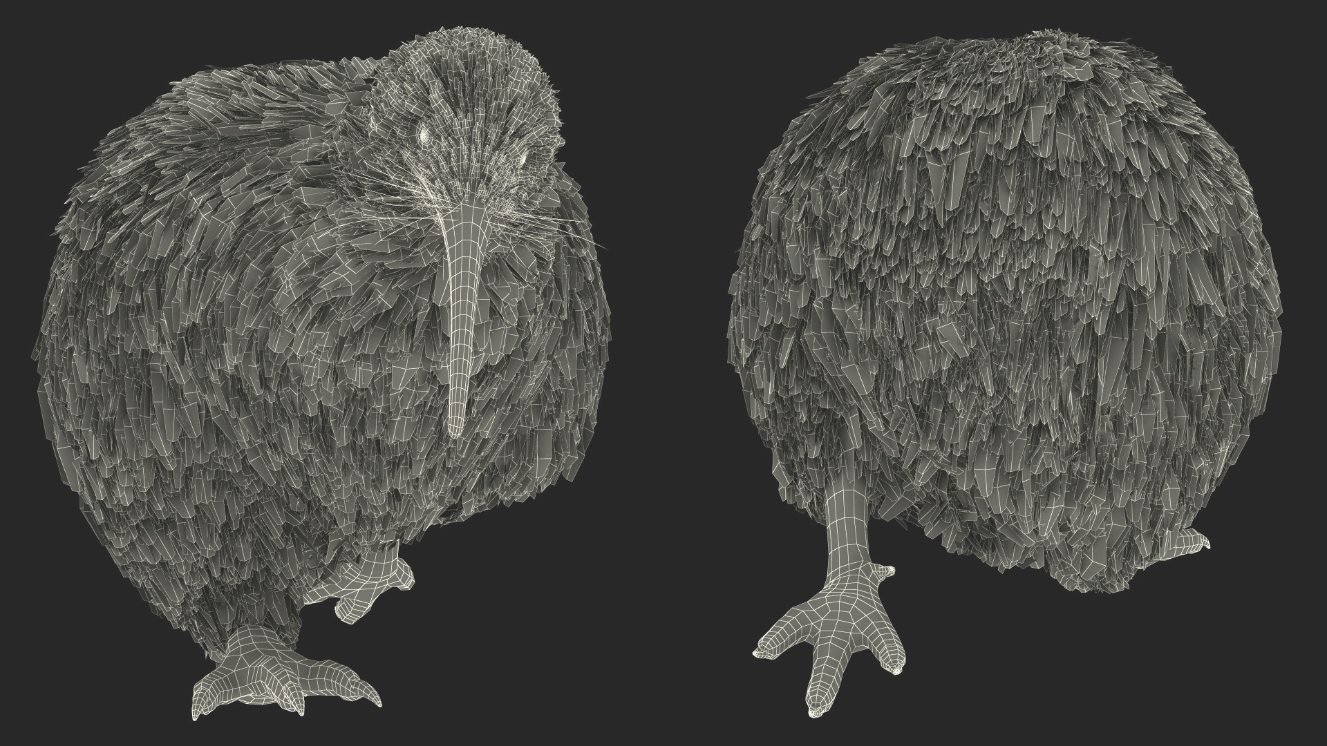 3D Run Pose Kiwi Bird model