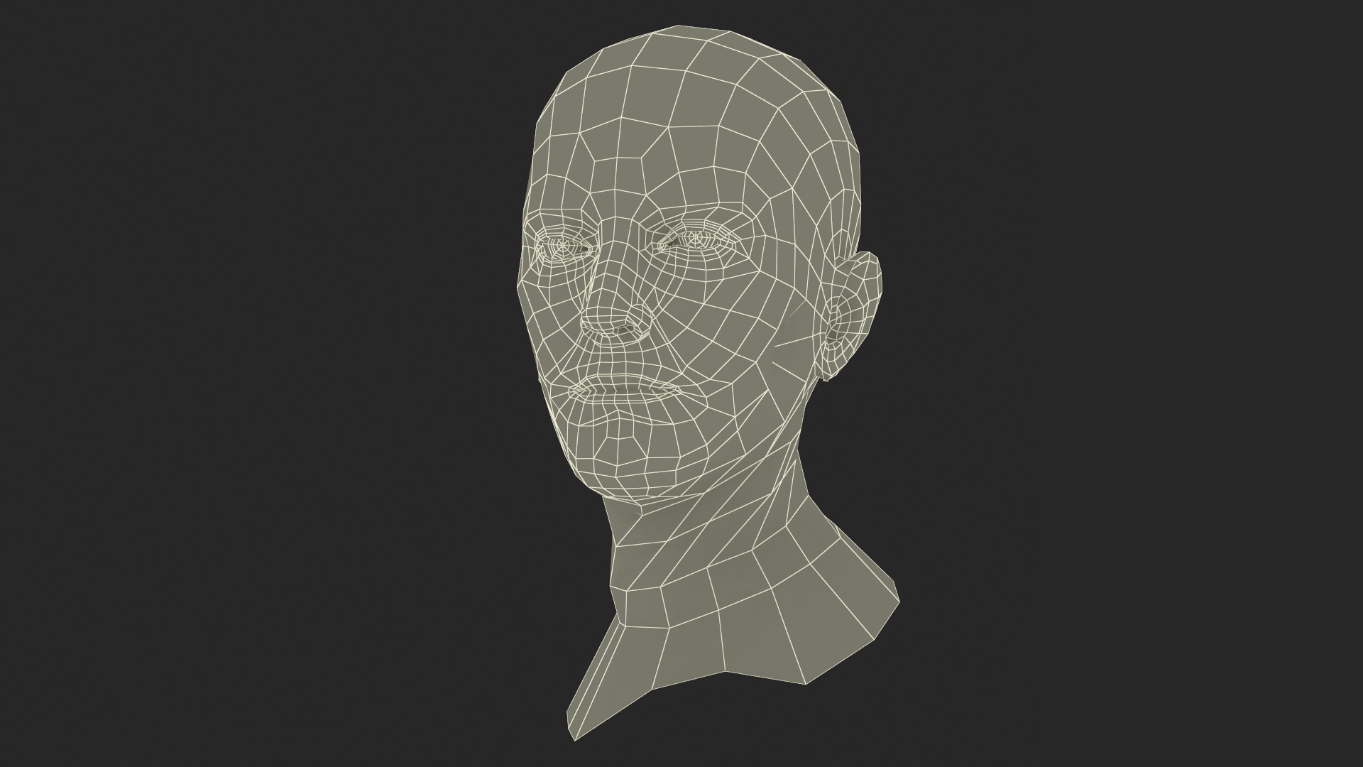 Caucasian Adult Male Head Rigged 3D