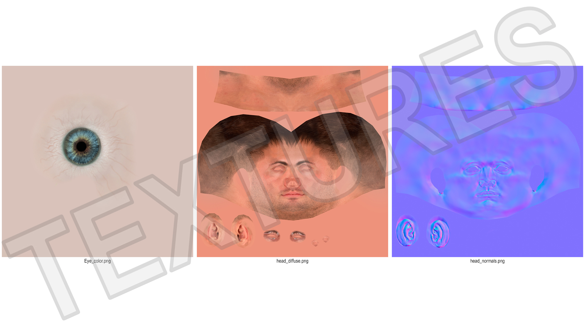 Caucasian Adult Male Head Rigged 3D