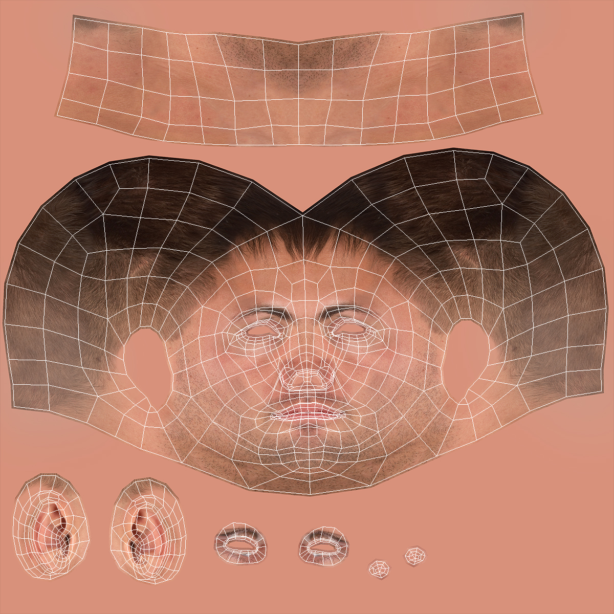 Caucasian Adult Male Head Rigged 3D