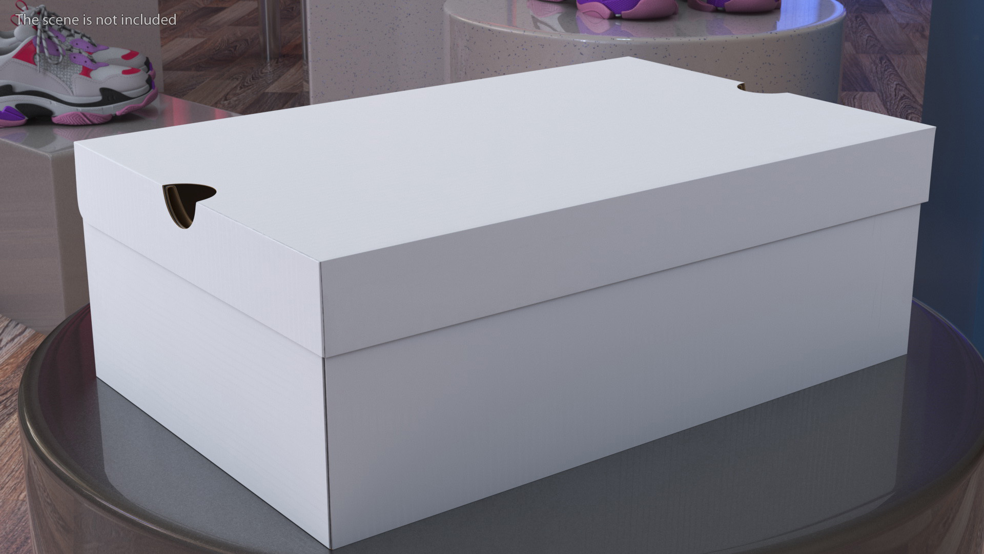 3D Shoes Packaging Box Closed