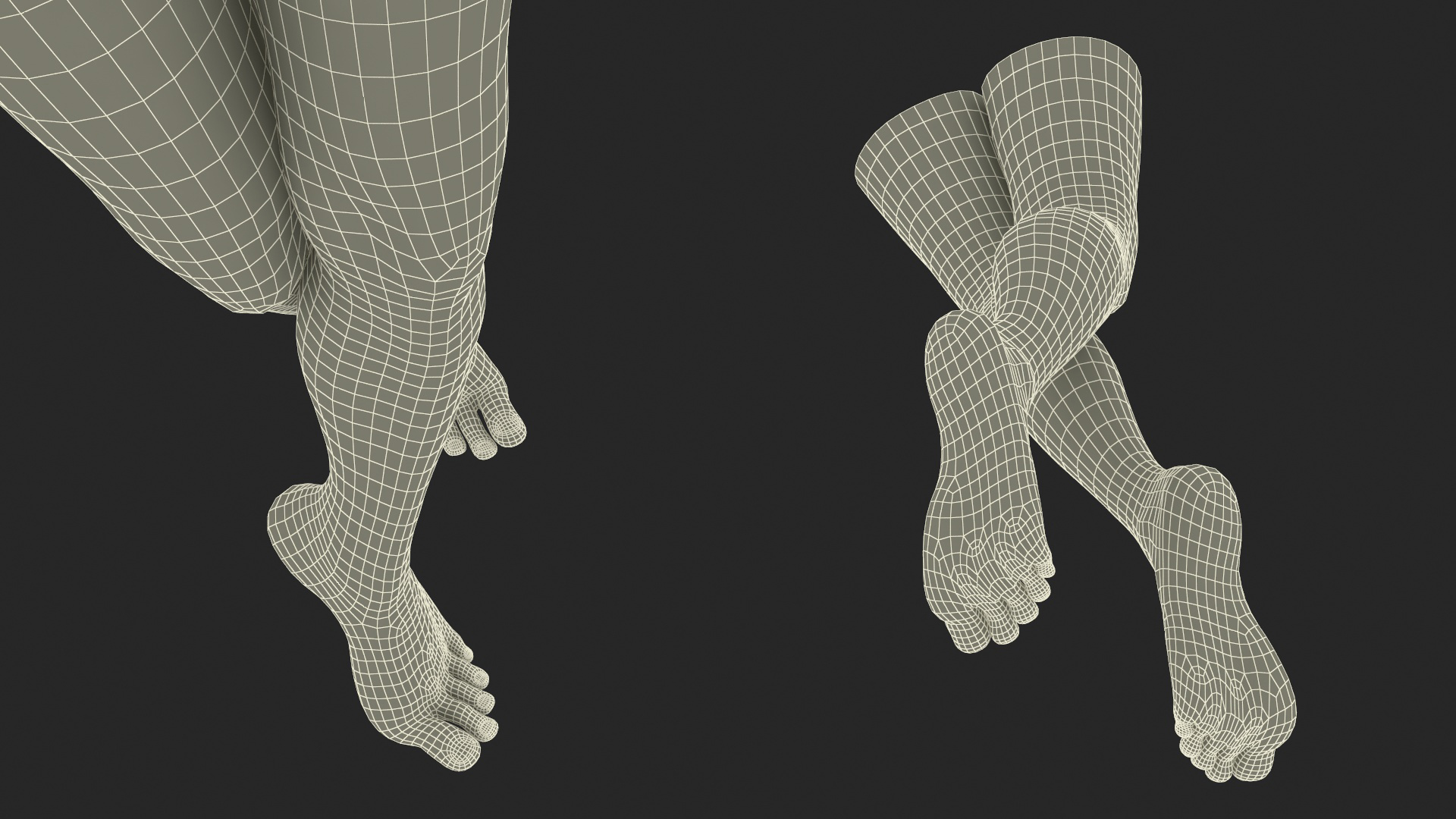Female Legs Rigged for Cinema 4D 3D