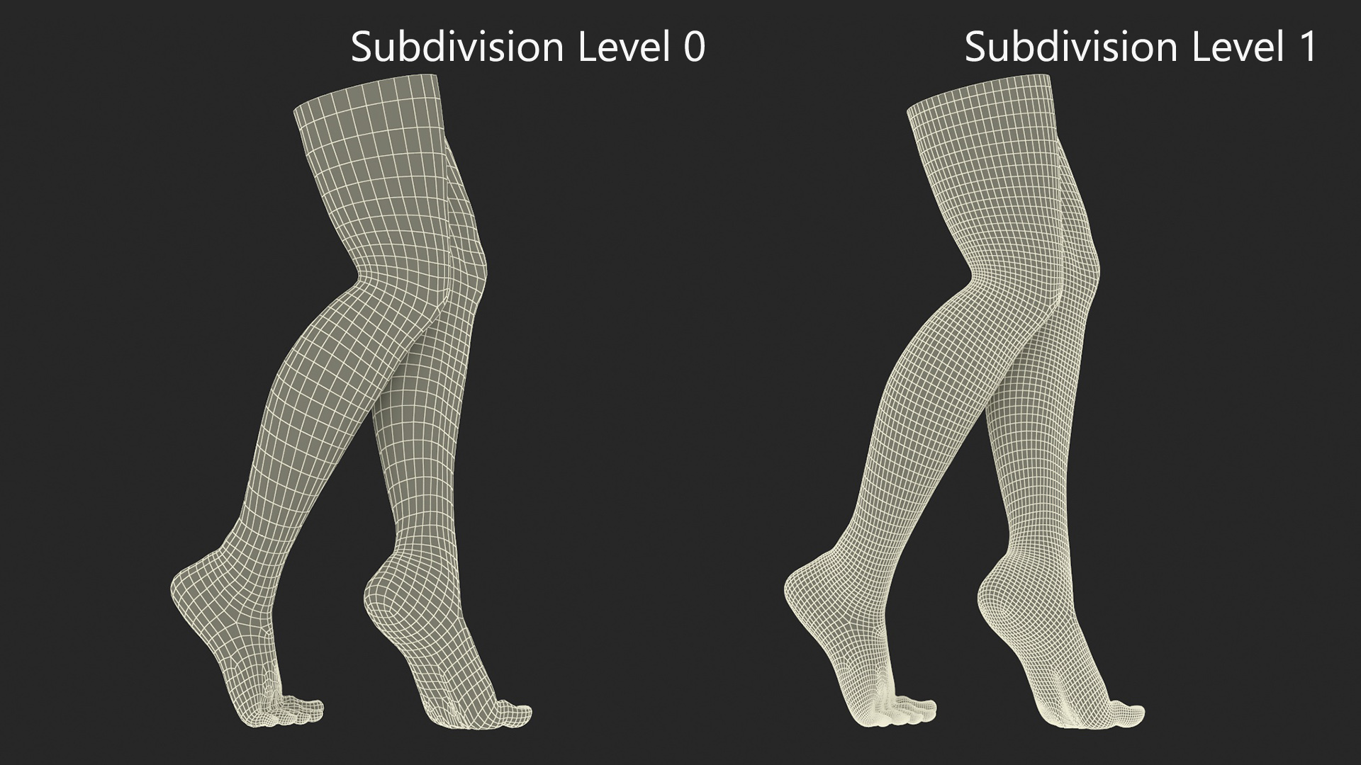 Female Legs Rigged for Cinema 4D 3D