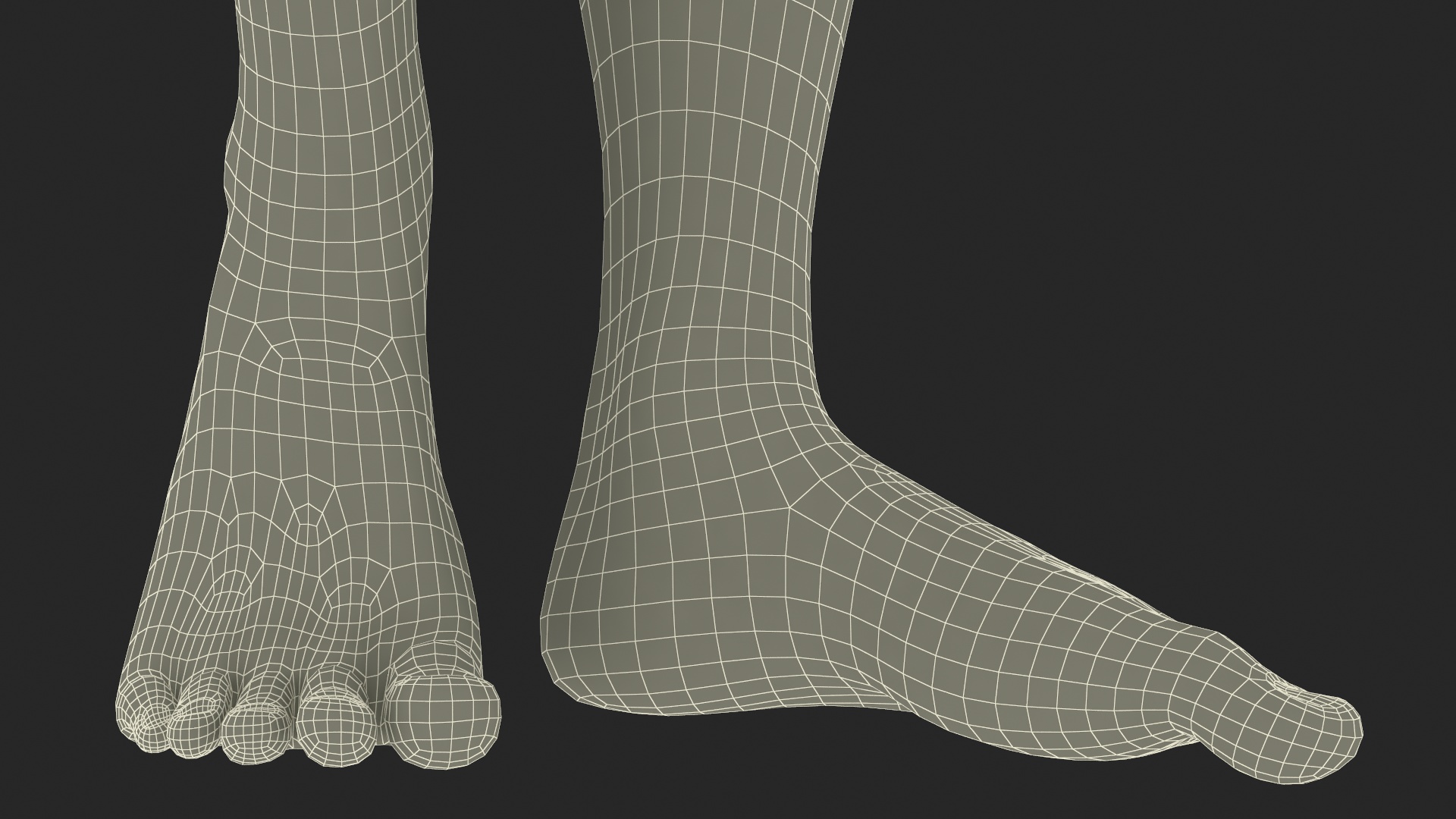 Female Legs Rigged for Cinema 4D 3D